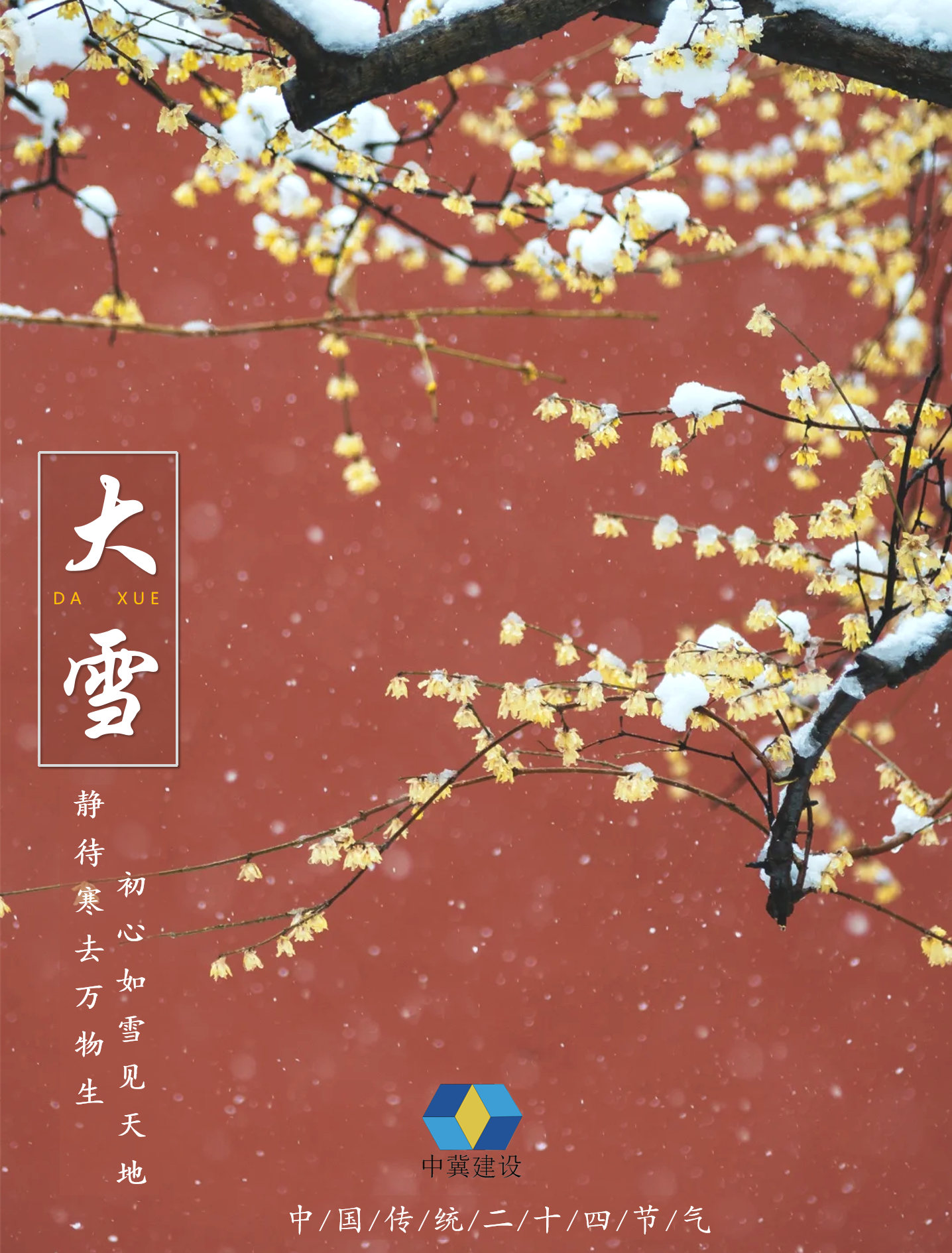 大雪至，万物藏，根基固，待春华